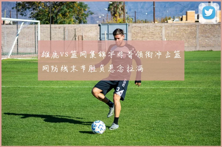 雄鹿vs篮网集锦字母哥领衔冲击篮网防线末节胜负悬念拉满