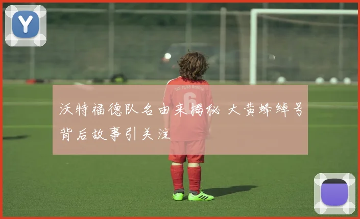 沃特福德队名由来揭秘 大黄蜂绰号背后故事引关注