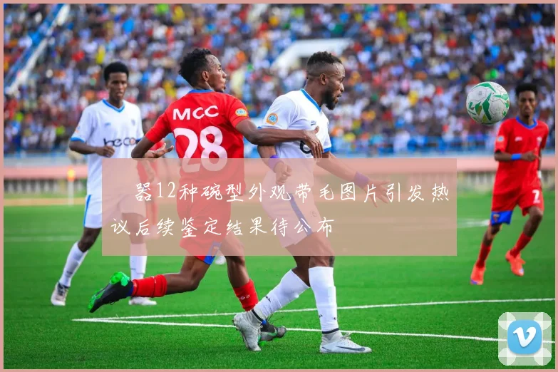 殅器12种碗型外观带毛图片引发热议后续鉴定结果待公布