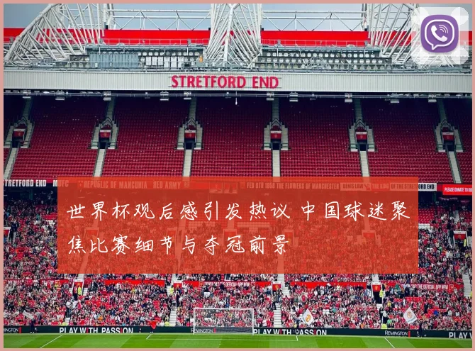 世界杯观后感引发热议 中国球迷聚焦比赛细节与夺冠前景