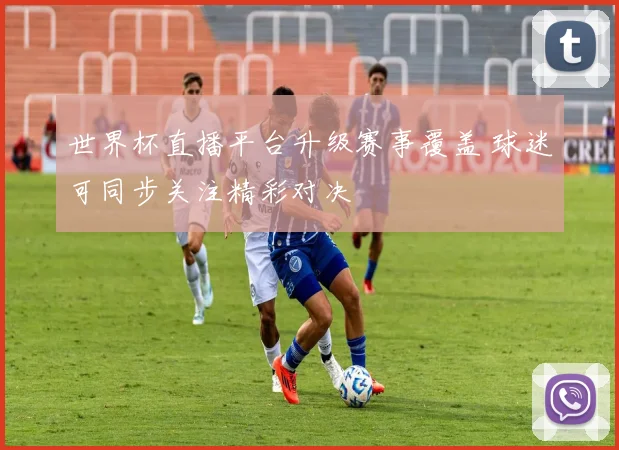 世界杯直播平台升级赛事覆盖 球迷可同步关注精彩对决