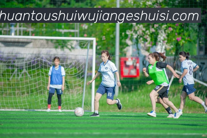 九游体育最新官网服务体系